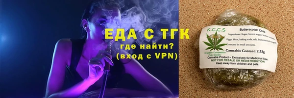 гашик Алексин