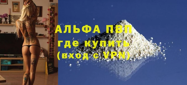 гашик Алексин