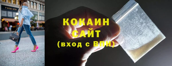 гашик Алексин
