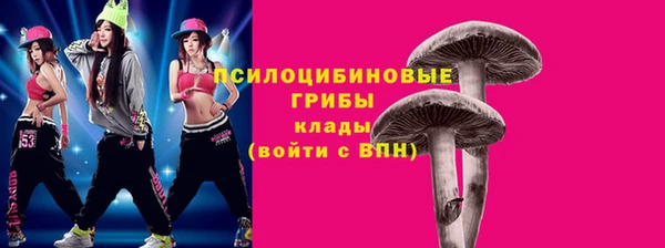 гашик Алексин