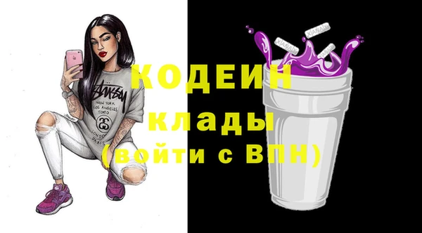гашик Алексин