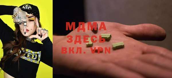 гашик Алексин